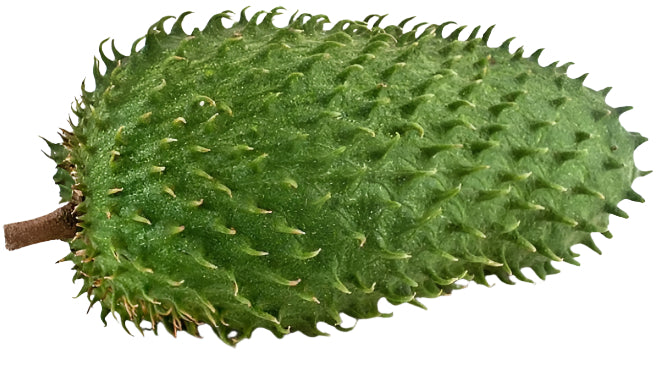 Soursop Leaf - Wild Harvested 250mg