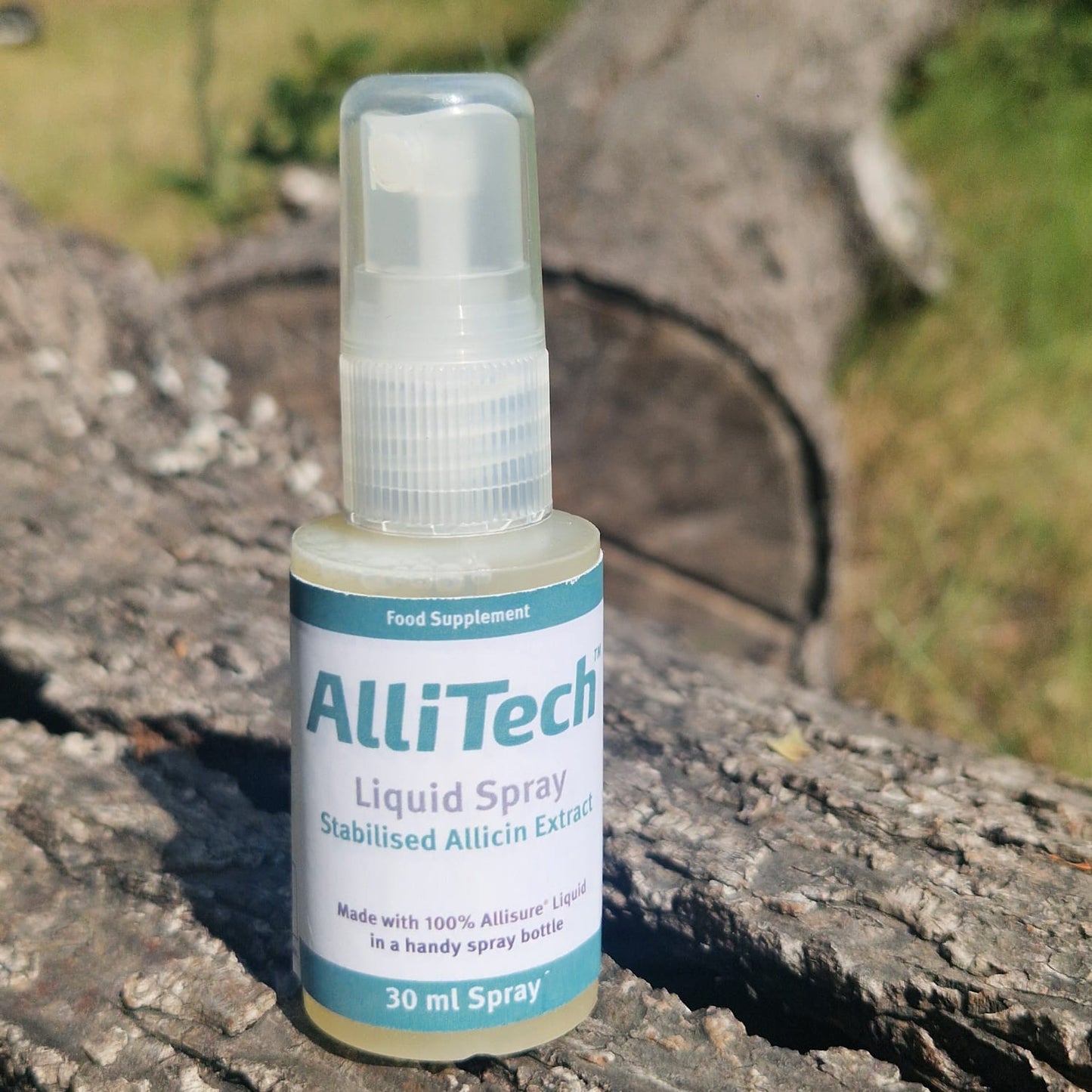 Globe Trottin' Essentials - Natural Travel Wellness Kit